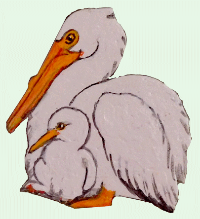 pelican