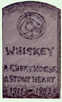 Whiskey